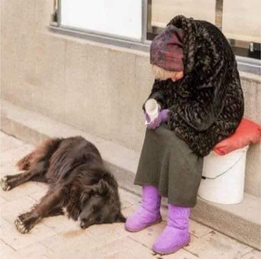 She lived on the streets but never begged for money.