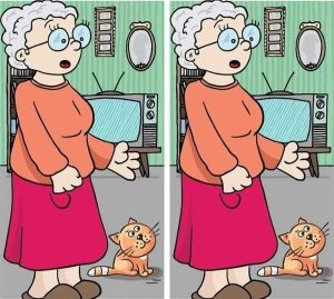 Can you find the difference between the grandmother and grandson in the picture in 12 seconds?