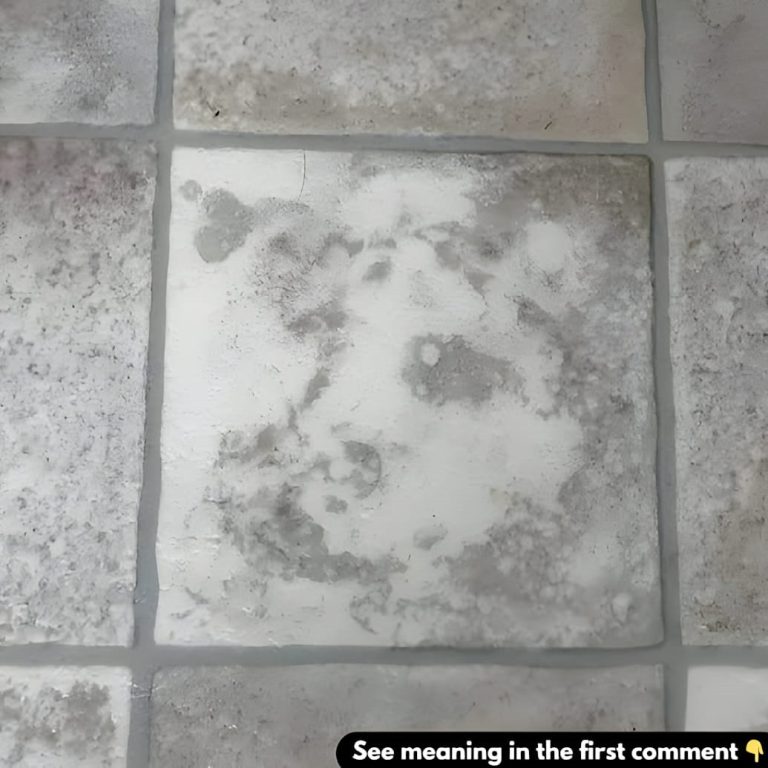 The Surprising Art of Pareidolia: Spotting Faces in Common Objects