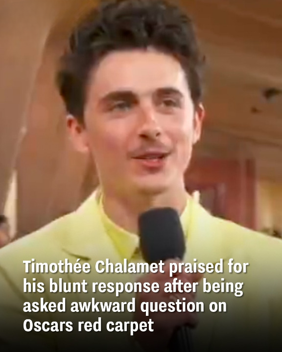 Timothée Chalamet Lauded for Direct Reply to Awkward Oscars Red Carpet Question