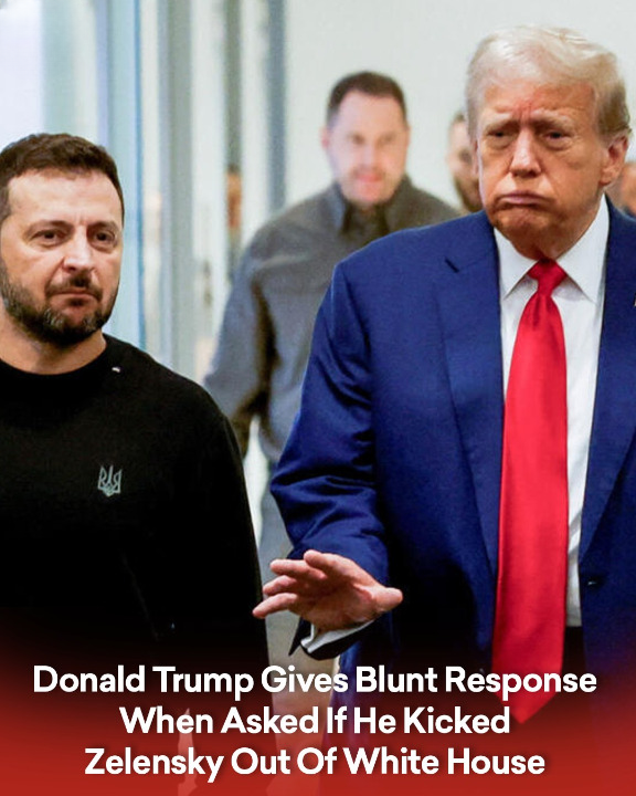 Trump Delivers Straightforward Answer When Questioned About Removing Zelensky from White House