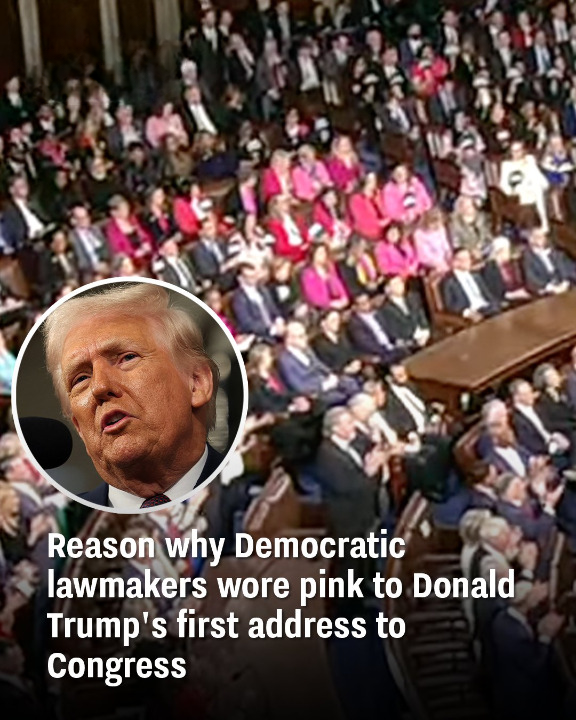 Democratic Lawmakers Wore Pink to Donald Trump’s First Congress Address: Here’s Why