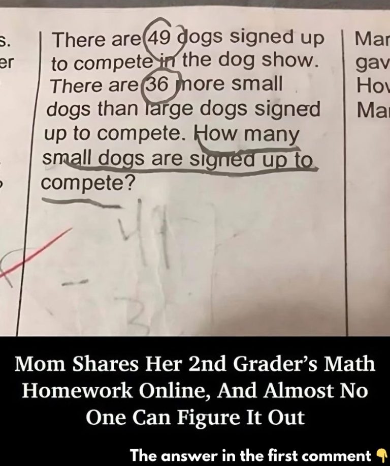 2nd Grader’s Math