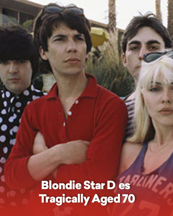 Blondie Star