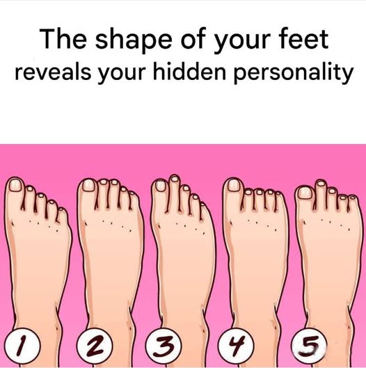 There are 5 types of feet: