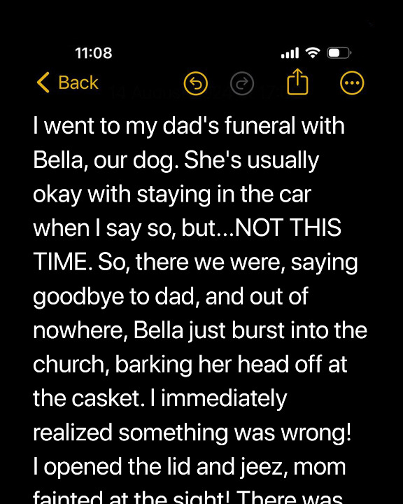 Dog Barks at