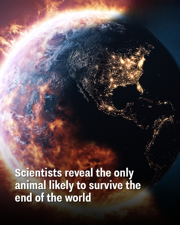 Scientists reveal the