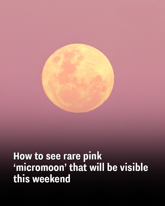 How to see rare pink