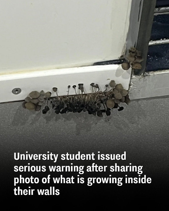 University student issued