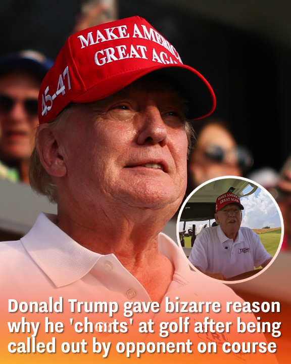 Donald Trump ‘gave bizarre reason’