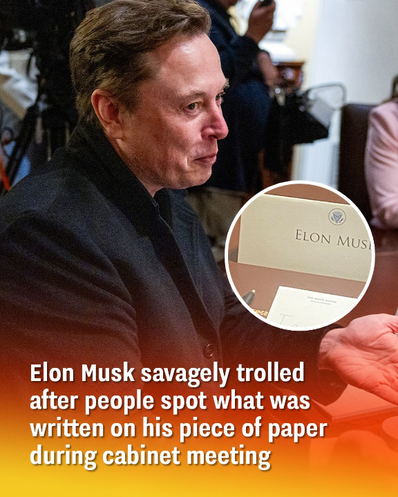 Elon Musk savagely trolled