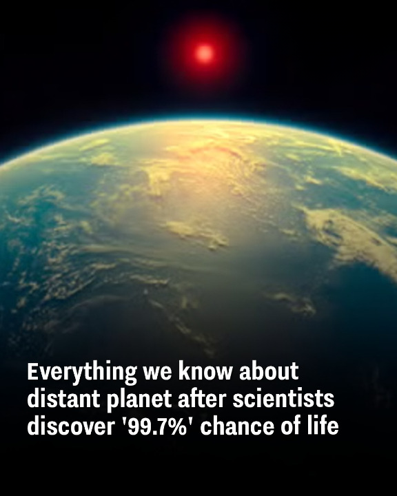 Everything we know about