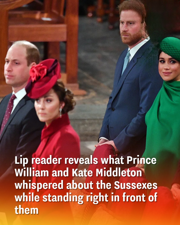 Lip reader reveals