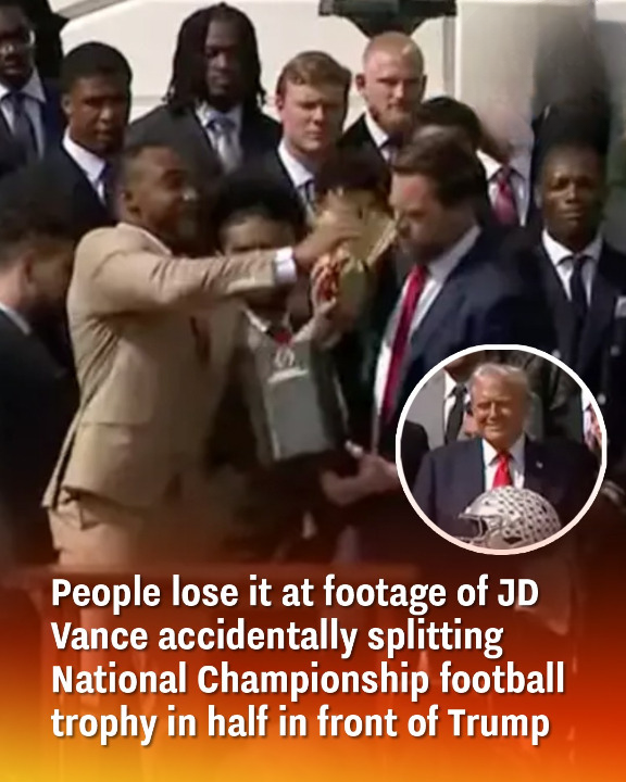People lose it at footage