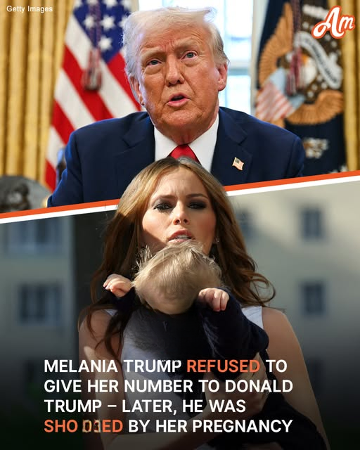 Inside Donald and Melania Trump’s