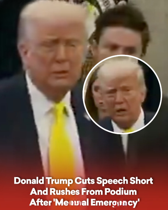 Donald Trump Cuts