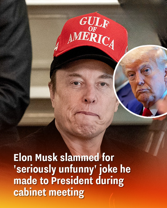 Elon Musk slammed