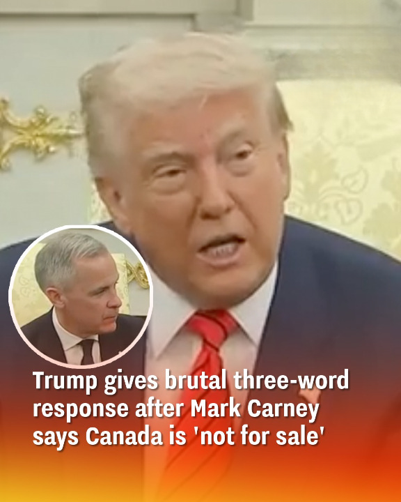 Trump gives brutal three-word response
