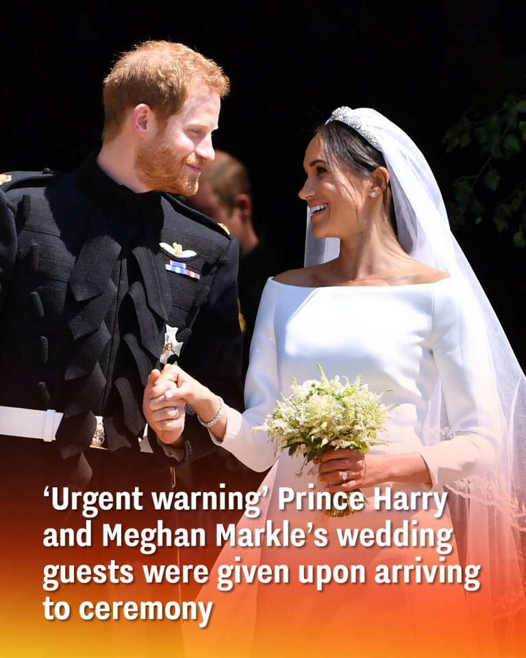 ‘Urgent warning’ Prince Harry and Meghan Markle’s