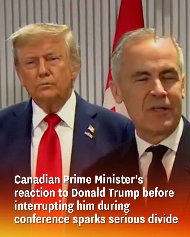 Canadian prime minister’s reaction to Donald Trump