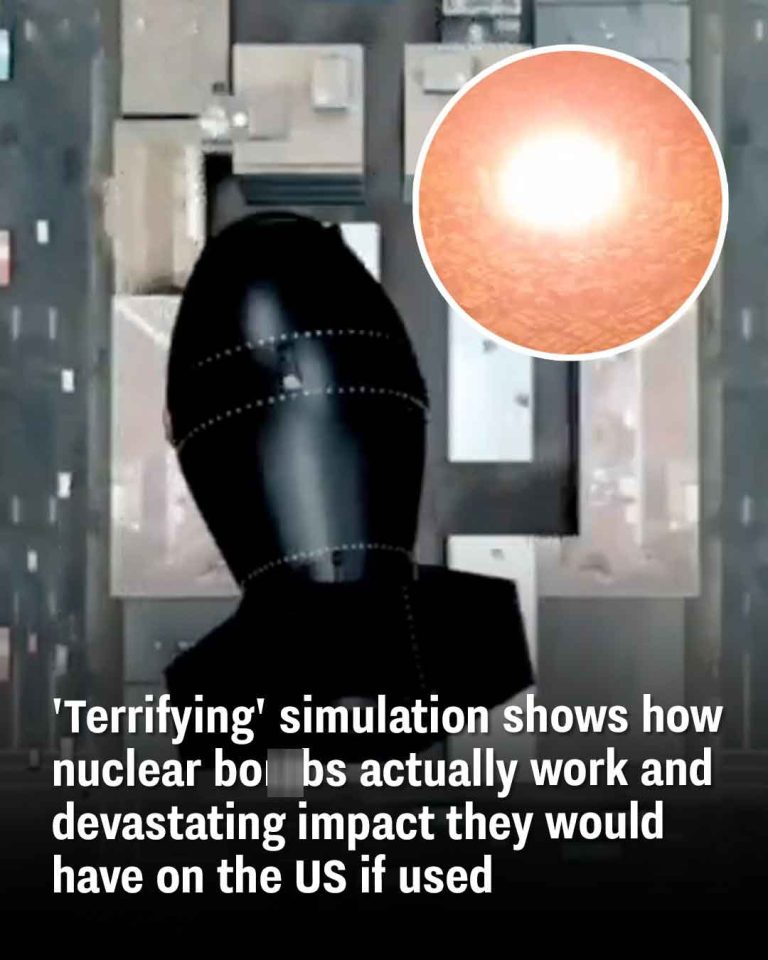 ‘Terrifying’ simulation shows how nu.clear bom.bs actually work and devastating impact they would have on the US if used