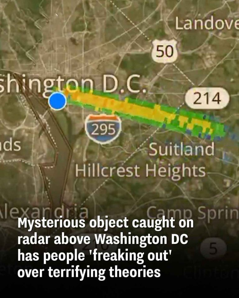Mysterious object caught on radar above Washington DC has people ‘freaking out’ over terrifying theories