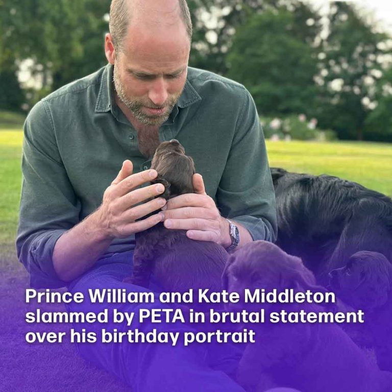 Prince William and Kate Middleton slammed by PETA in brutal statement over his birthday portrait