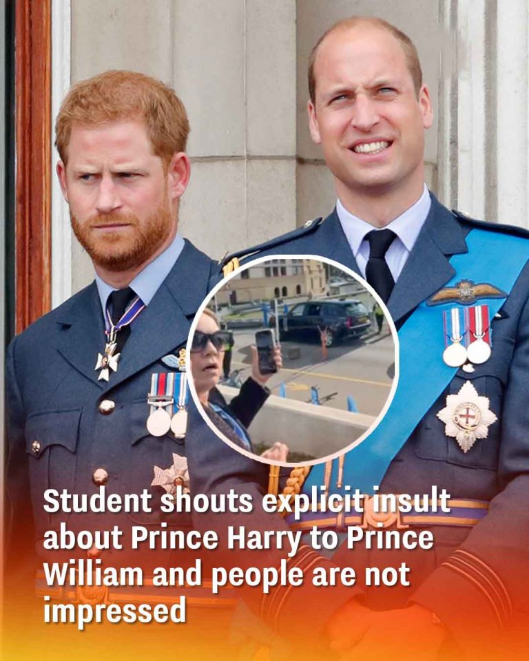 Student shouts explicit insult about Prince Harry to Prince William and people are not impressed