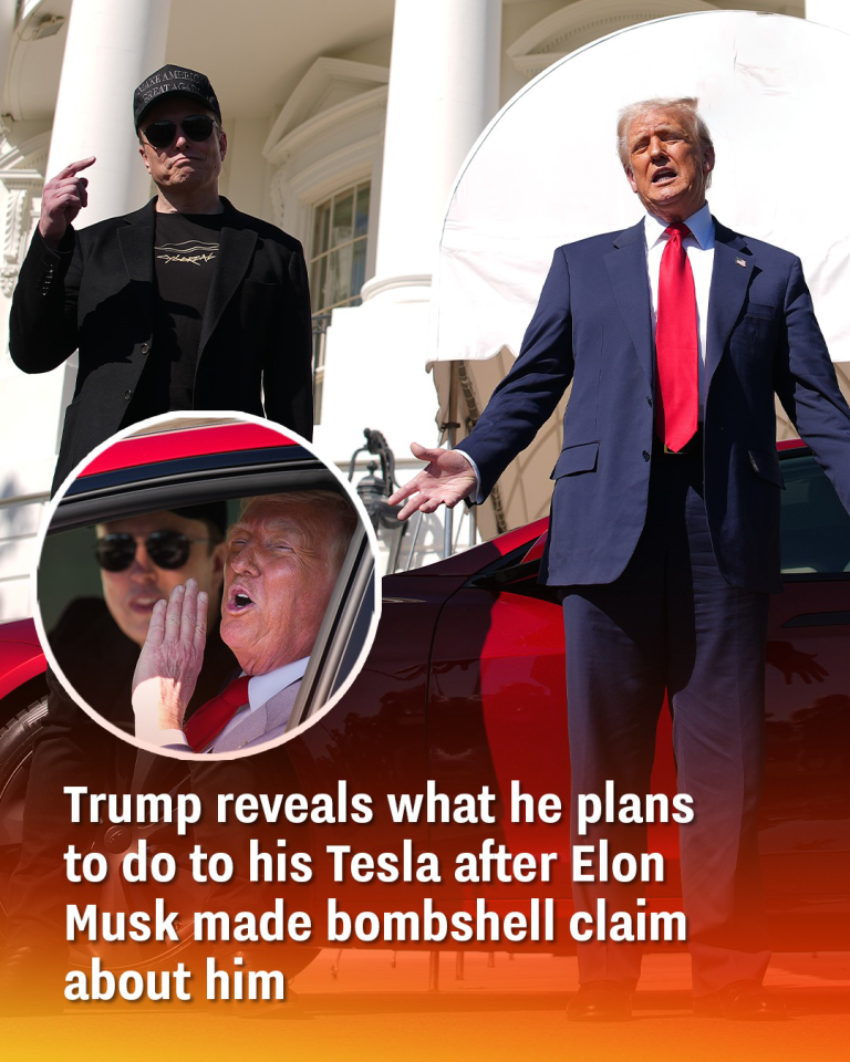Trump reveals what he plans to do to his