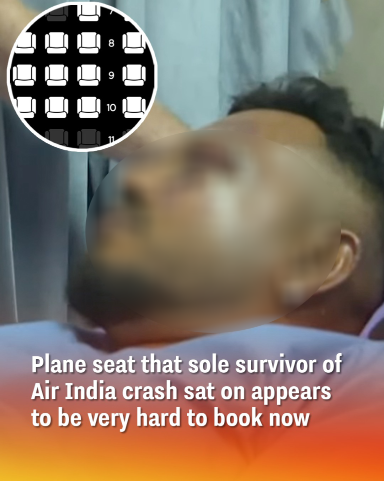 Plane seat that sole survivor of Air India