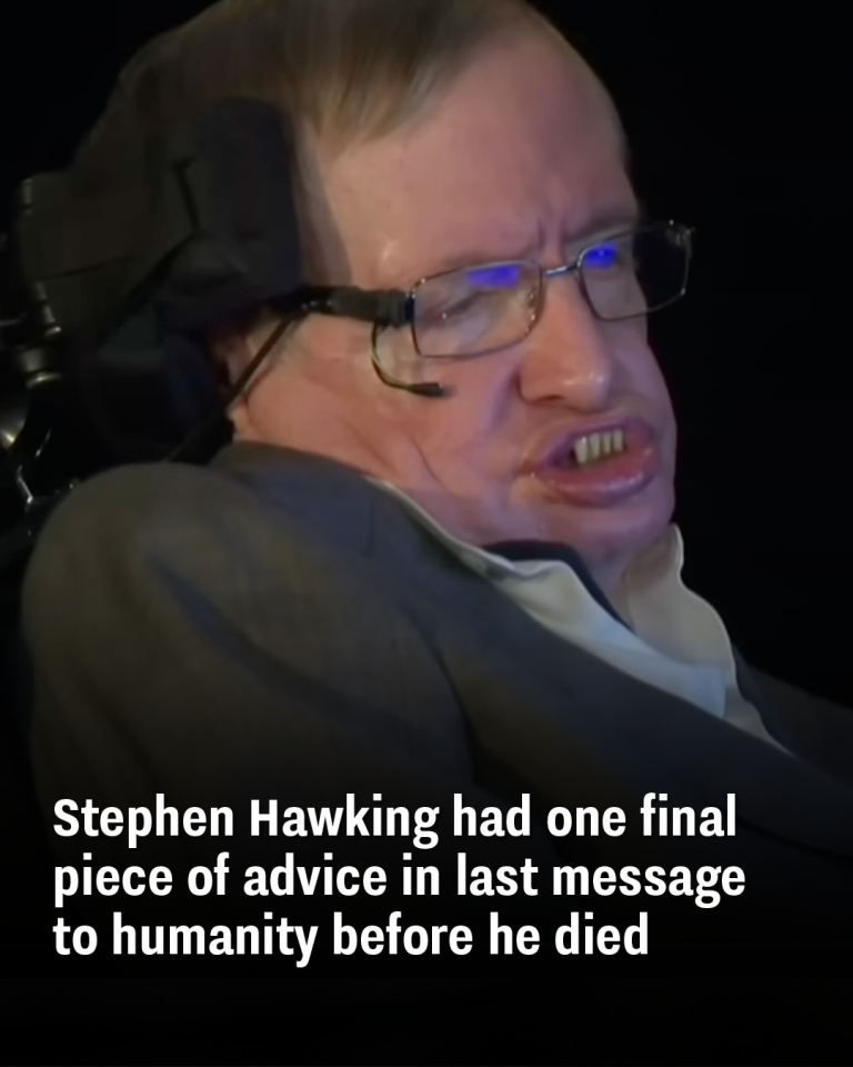 Stephen Hawking had one final piece
