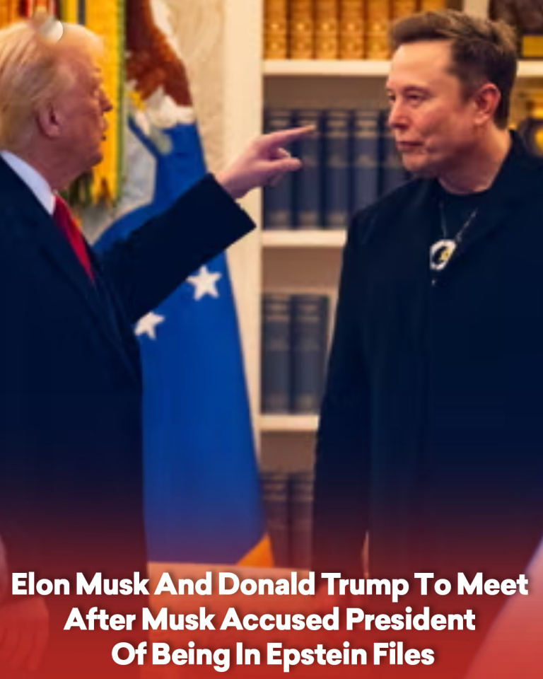 Elon Musk And Donald Trump To Meet After