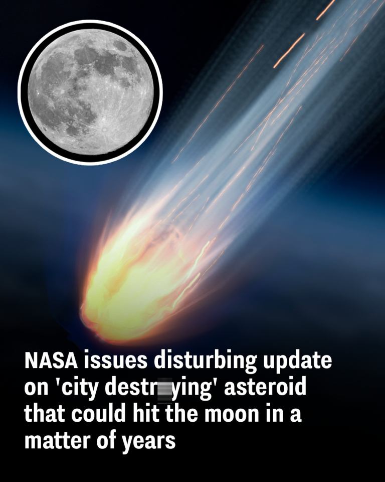 NASA issues disturbing update on ‘city destr.ying’
