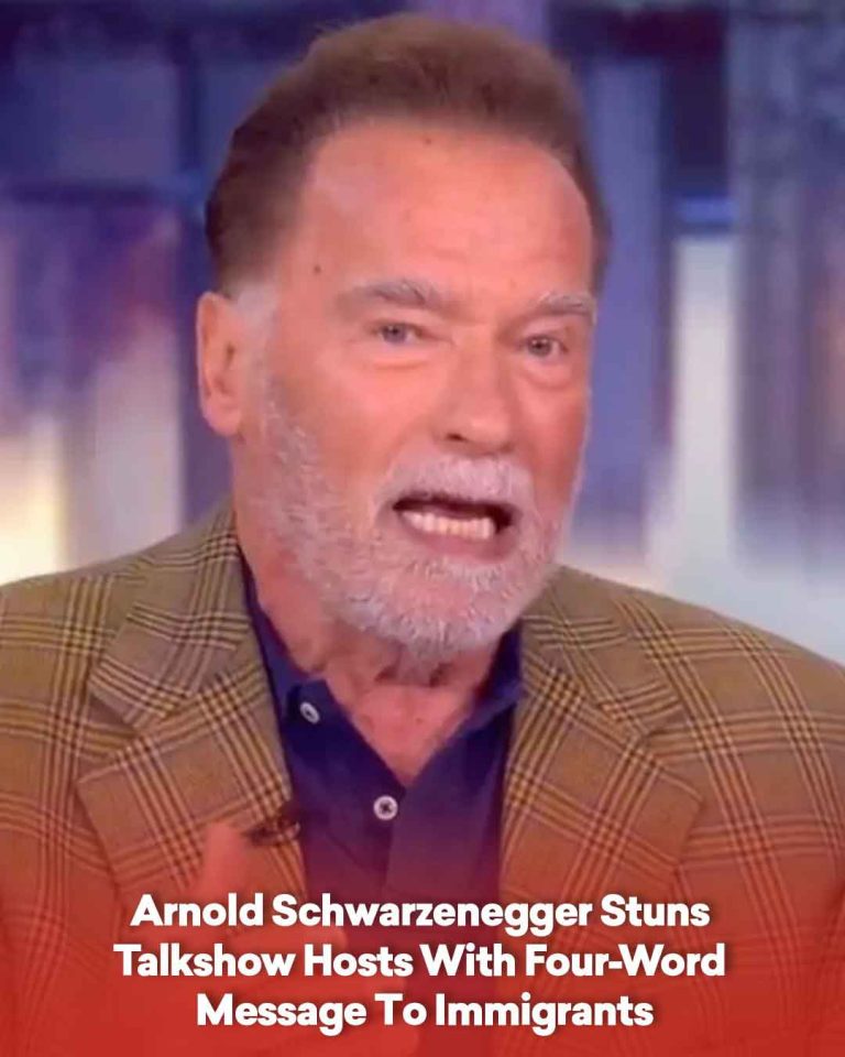 Arnold Schwarzenegger Stuns Talk Show Hosts