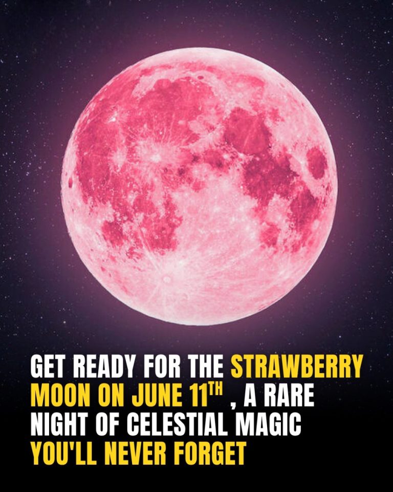 Get Ready For The Strawberry Full