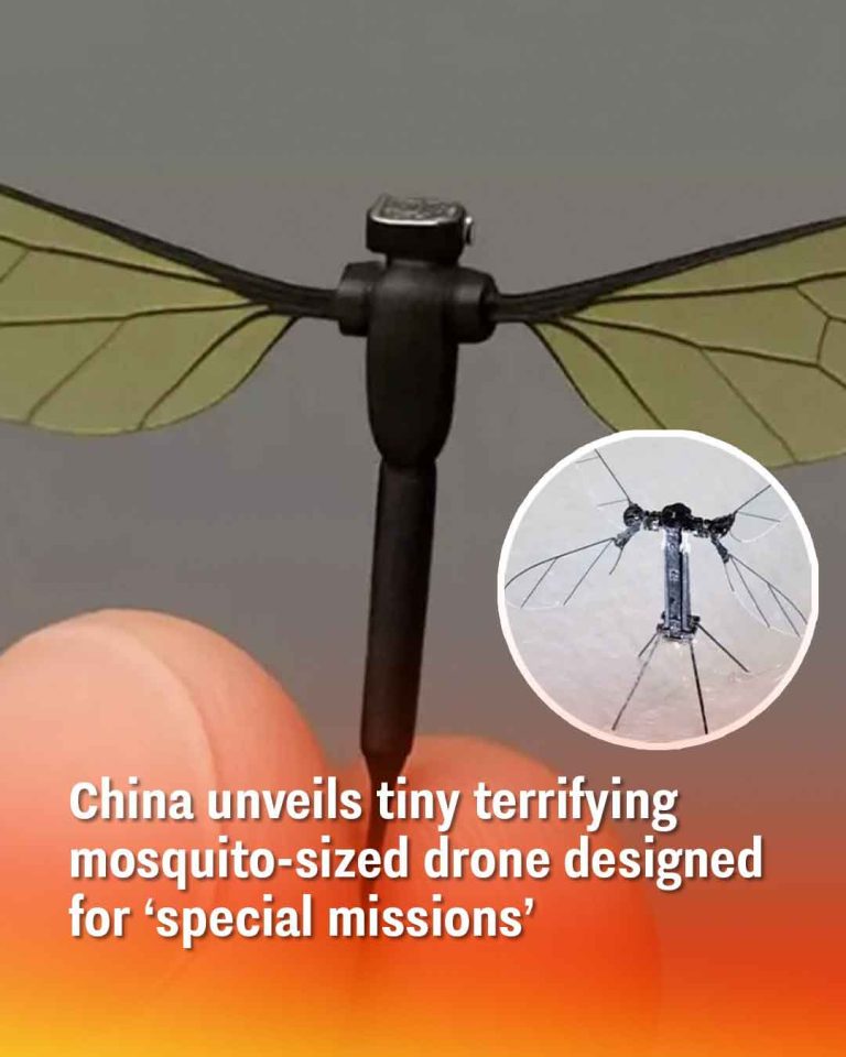 China unveils tiny terrifying mosquito-sized drone designed for ‘special missions’