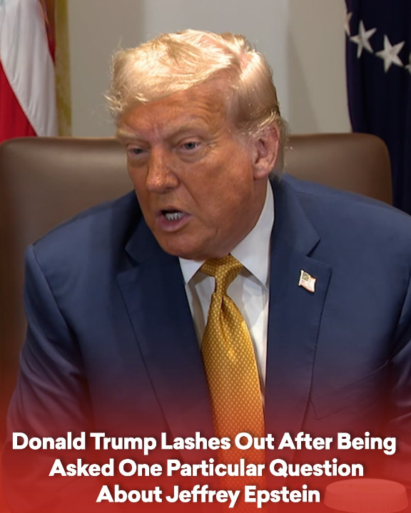 Donald Trump Lashes Out After Being Asked One Particular Question About Jeffrey Epstein