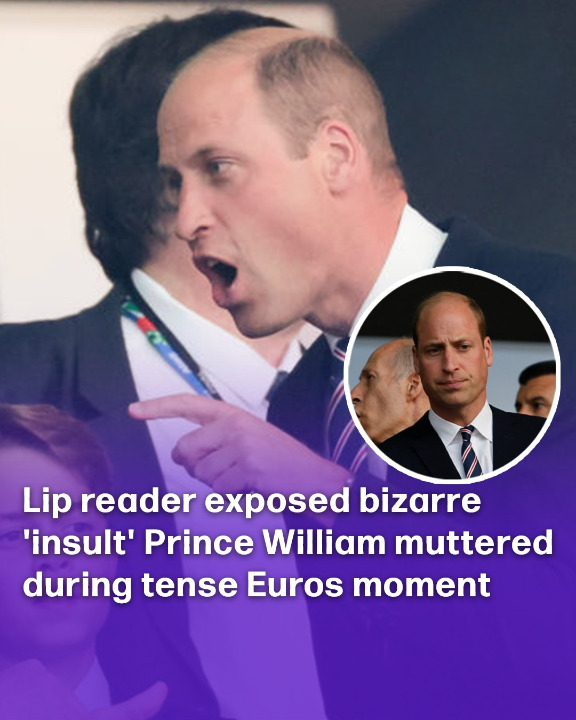 Lip reader exposed bizarre ‘insult’ Prince William muttered during tense Euros moment